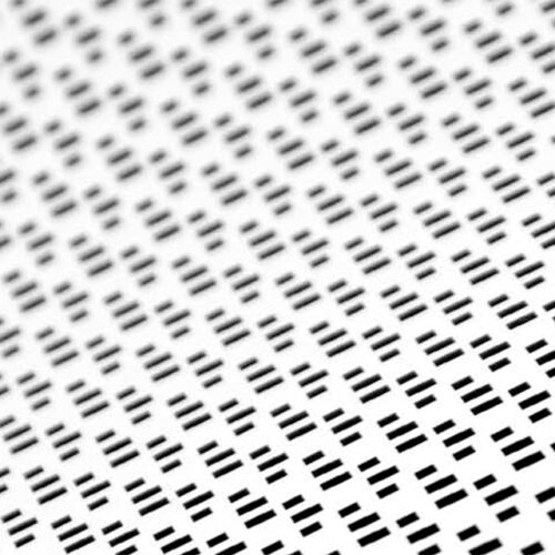 carsten nicolai - zone |