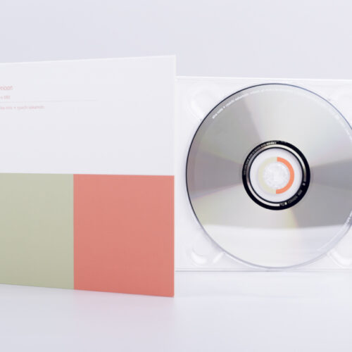 alva noto + ryuichi sakamoto - vrioon