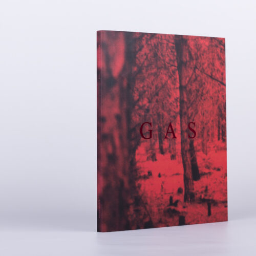 wolfgang voigt - GAS |