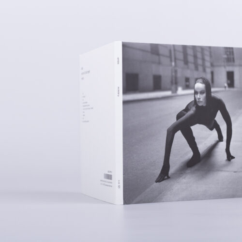 anbb: alva noto & blixa bargeld - mimikry |