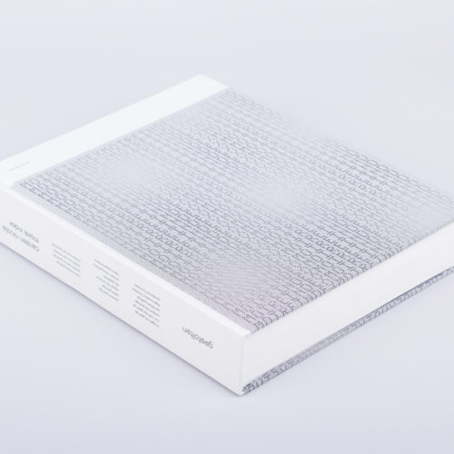 carsten nicolai - moiré index