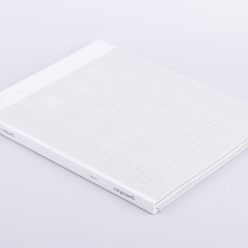 carsten nicolai - syn chron