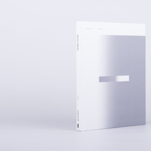 carsten nicolai - unidisplay