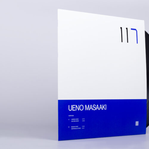 ueno masaaki - vortices