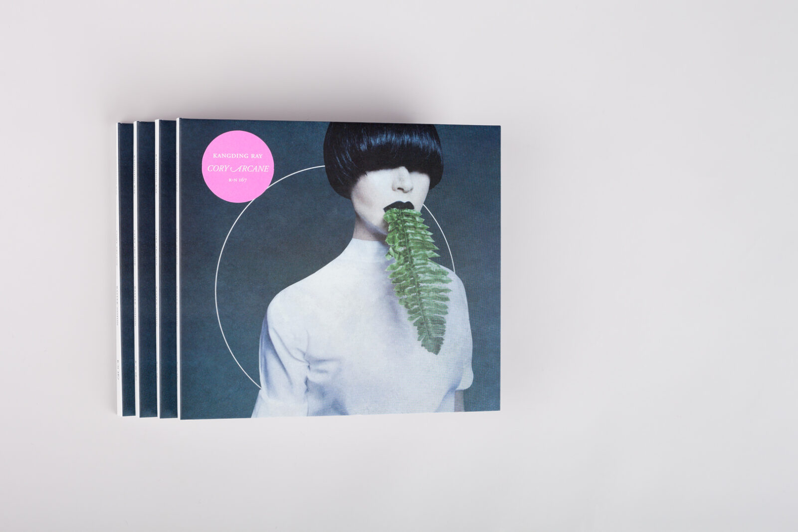 kangding ray - cory arcane - Image 3