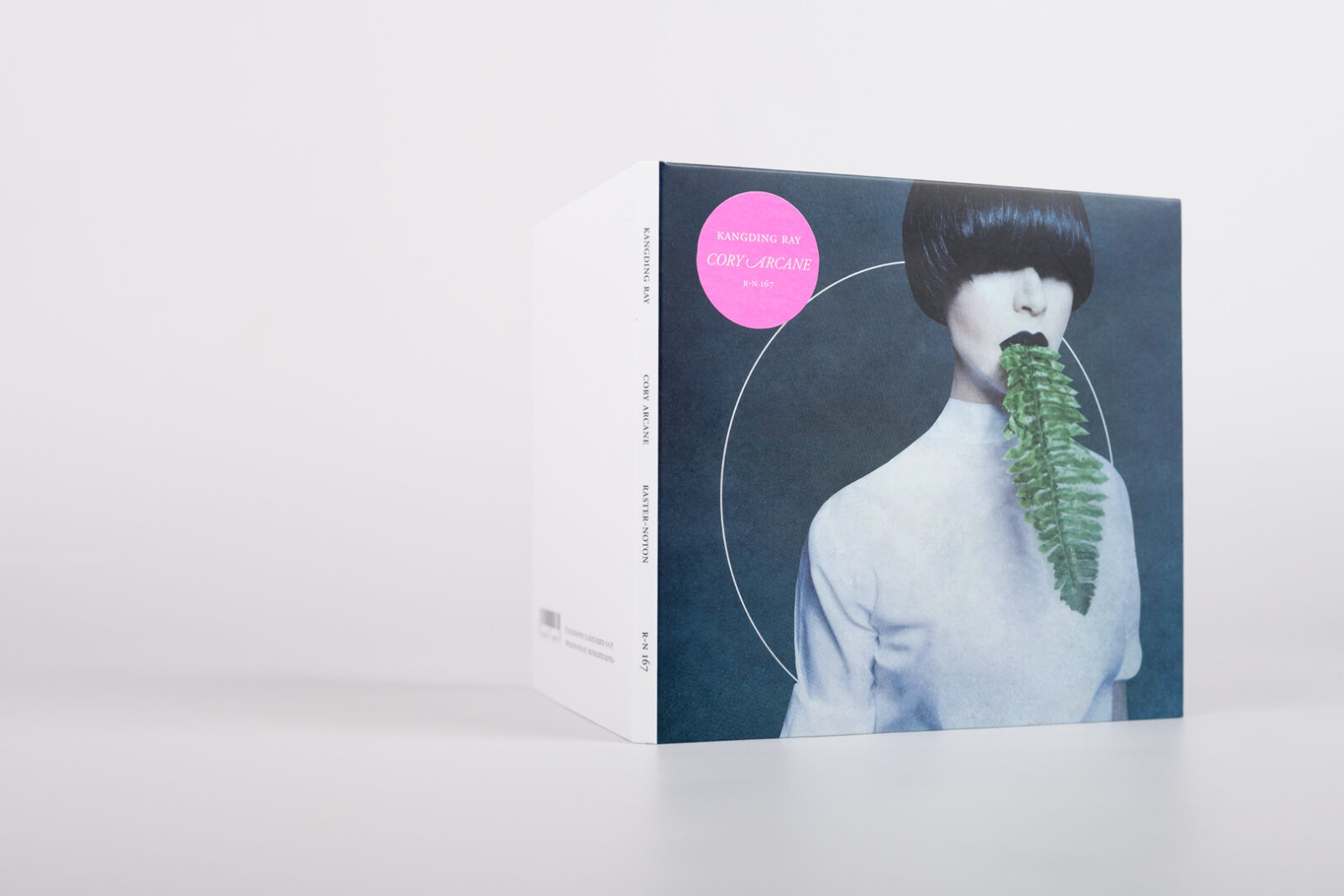 kangding ray - cory arcane - Image 2