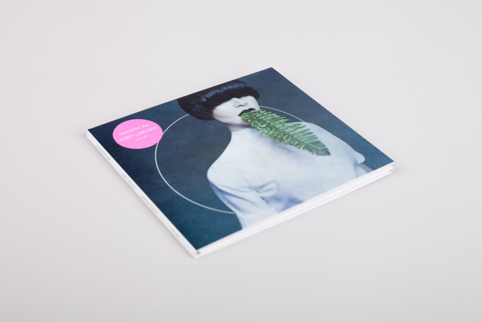 kangding ray - cory arcane - Image 4