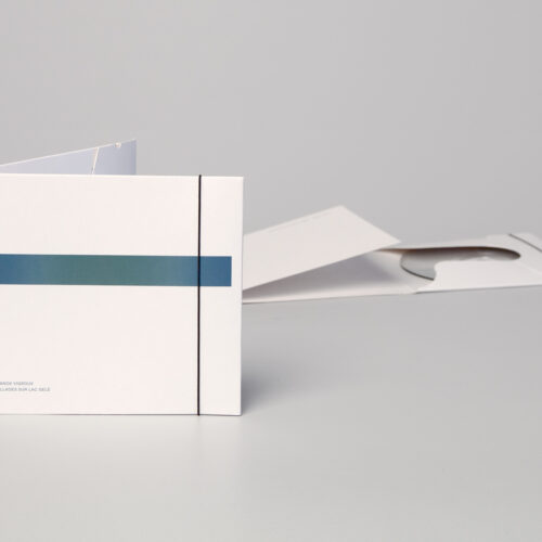 franck vigroux - ballades sur lac gelé