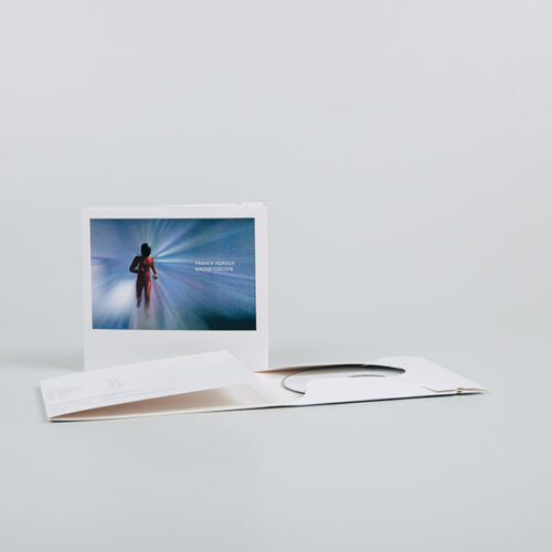 franck vigroux - magnetoscope